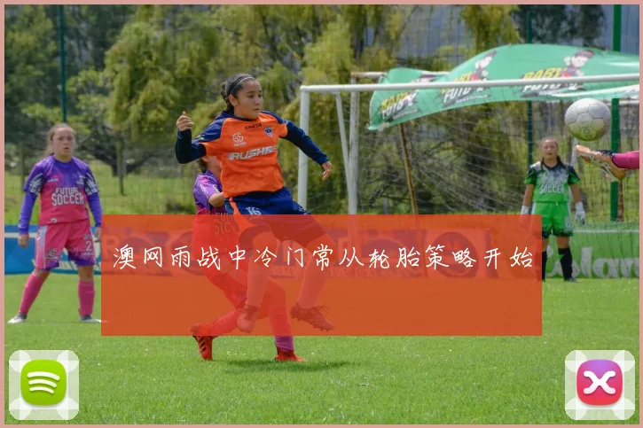 澳网雨战中冷门常从轮胎策略开始