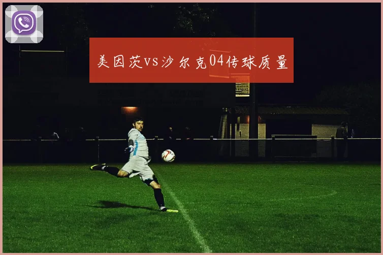 美因茨vs沙尔克04传球质量